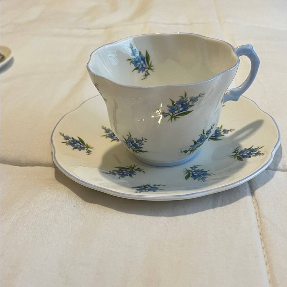ANDREA FENZI White Teacup and saucer fine bone china-England